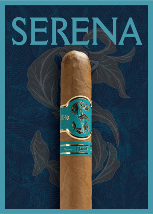 Matilde Serena Robusto