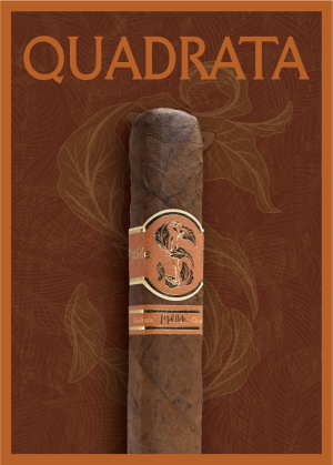 Matilde Quadrata Robusto