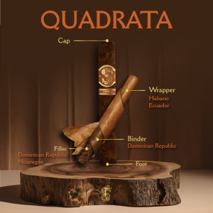 Matilde Quadrata Robusto